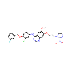 COc1cc2c(Nc3ccc(OCc4cccc(F)c4)c(Cl)c3)ncnc2cc1OCCCn1ccnc1[N+](=O)[O-] ZINC000299822203