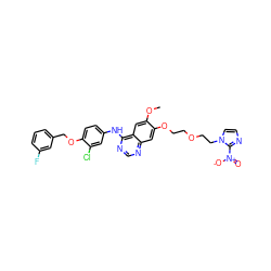 COc1cc2c(Nc3ccc(OCc4cccc(F)c4)c(Cl)c3)ncnc2cc1OCCOCCn1ccnc1[N+](=O)[O-] ZINC000299820653