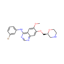 COc1cc2c(Nc3cccc(Br)c3)ncnc2cc1OC[C@@H]1CNCCO1 ZINC000299826140