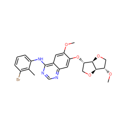 COc1cc2c(Nc3cccc(Br)c3C)ncnc2cc1O[C@H]1CO[C@@H]2[C@@H](OC)CO[C@H]12 ZINC000034109089