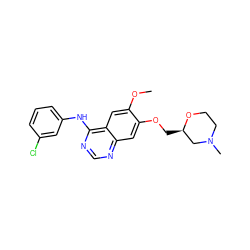 COc1cc2c(Nc3cccc(Cl)c3)ncnc2cc1OC[C@@H]1CN(C)CCO1 ZINC000299832119