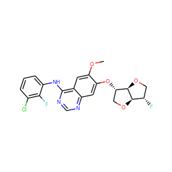 COc1cc2c(Nc3cccc(Cl)c3F)ncnc2cc1O[C@H]1CO[C@@H]2[C@@H](F)CO[C@H]12 ZINC000114821822