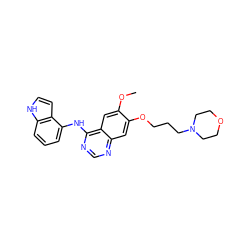 COc1cc2c(Nc3cccc4[nH]ccc34)ncnc2cc1OCCCN1CCOCC1 ZINC000013559418