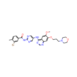 COc1cc2c(Nc3cnc(NC(=O)c4ccc(C)c(Br)c4)nc3)ncnc2cc1OCCCN1CCOCC1 ZINC000014949906