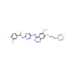 COc1cc2c(Nc3cnc(NC(=O)c4ccc(F)c(Cl)c4)nc3)ncnc2cc1OCCCN1CCOCC1 ZINC000014949903