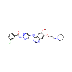 COc1cc2c(Nc3cnc(NC(=O)c4cccc(Cl)c4)nc3)ncnc2cc1OCCCN1CCCCC1 ZINC000028571626