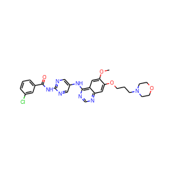 COc1cc2c(Nc3cnc(NC(=O)c4cccc(Cl)c4)nc3)ncnc2cc1OCCCN1CCOCC1 ZINC000014949900