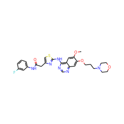 COc1cc2c(Nc3nc(CC(=O)Nc4cccc(F)c4)cs3)ncnc2cc1OCCCN1CCOCC1 ZINC000028568095