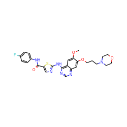 COc1cc2c(Nc3ncc(C(=O)Nc4ccc(F)cc4)s3)ncnc2cc1OCCCN1CCOCC1 ZINC000028568213