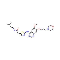 COc1cc2c(Nc3ncc(CC(=O)NCCC(C)C)s3)ncnc2cc1OCCCN1CCOCC1 ZINC000013680349