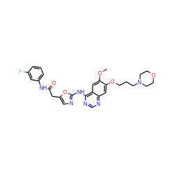 COc1cc2c(Nc3ncc(CC(=O)Nc4cccc(F)c4)o3)ncnc2cc1OCCCN1CCOCC1 ZINC000028568606