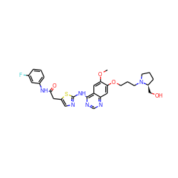 COc1cc2c(Nc3ncc(CC(=O)Nc4cccc(F)c4)s3)ncnc2cc1OCCCN1CCC[C@H]1CO ZINC000028568014