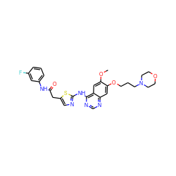 COc1cc2c(Nc3ncc(CC(=O)Nc4cccc(F)c4)s3)ncnc2cc1OCCCN1CCOCC1 ZINC000028568625