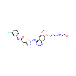 COc1cc2c(Nc3ncc(CC(=O)Nc4cccc(F)c4)s3)ncnc2cc1OCCCNCCO ZINC000013680353