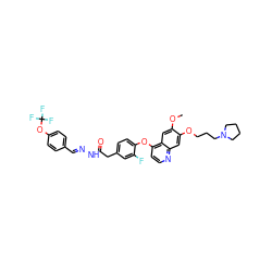 COc1cc2c(Oc3ccc(CC(=O)N/N=C/c4ccc(OC(F)(F)F)cc4)cc3F)ccnc2cc1OCCCN1CCCC1 ZINC000221068741