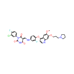 COc1cc2c(Oc3ccc(N/C=C4\C(=O)NC(=O)N(c5ccc(F)c(Cl)c5)C4=O)cc3F)ccnc2cc1OCCCN1CCCC1 ZINC000150603779