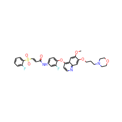 COc1cc2c(Oc3ccc(NC(=O)/C=C/S(=O)(=O)c4ccccc4F)cc3F)ccnc2cc1OCCCN1CCOCC1 ZINC001772617548