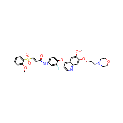 COc1cc2c(Oc3ccc(NC(=O)/C=C/S(=O)(=O)c4ccccc4OC)cc3F)ccnc2cc1OCCCN1CCOCC1 ZINC001772650072