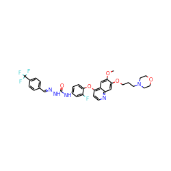 COc1cc2c(Oc3ccc(NC(=O)N/N=C/c4ccc(C(F)(F)F)cc4)cc3F)ccnc2cc1OCCCN1CCOCC1 ZINC000096283556