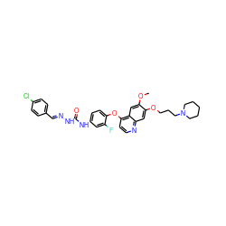 COc1cc2c(Oc3ccc(NC(=O)N/N=C/c4ccc(Cl)cc4)cc3F)ccnc2cc1OCCCN1CCCCC1 ZINC000096283553