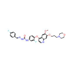 COc1cc2c(Oc3ccc(NC(=O)N/N=C/c4ccc(F)cc4)cc3F)ccnc2cc1OCCCN1CCOCC1 ZINC000096283558