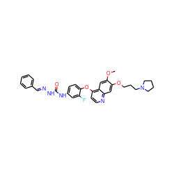 COc1cc2c(Oc3ccc(NC(=O)N/N=C/c4ccccc4)cc3F)ccnc2cc1OCCCN1CCCC1 ZINC000096283549