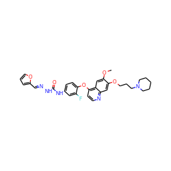 COc1cc2c(Oc3ccc(NC(=O)N/N=C/c4ccco4)cc3F)ccnc2cc1OCCCN1CCCCC1 ZINC000096283534