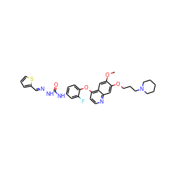 COc1cc2c(Oc3ccc(NC(=O)N/N=C/c4cccs4)cc3F)ccnc2cc1OCCCN1CCCCC1 ZINC000653810962