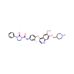 COc1cc2c(Oc3ccc(NC(=O)N4CCN(c5ccccc5)C4=O)cc3F)ccnc2cc1OCC1CCN(C)CC1 ZINC000049695422