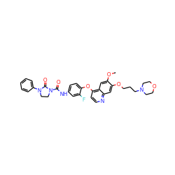 COc1cc2c(Oc3ccc(NC(=O)N4CCN(c5ccccc5)C4=O)cc3F)ccnc2cc1OCCCN1CCOCC1 ZINC000049695009