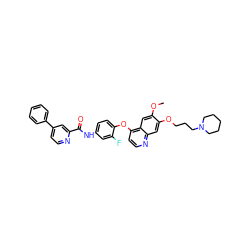 COc1cc2c(Oc3ccc(NC(=O)c4cc(-c5ccccc5)ccn4)cc3F)ccnc2cc1OCCCN1CCCCC1 ZINC000096285104