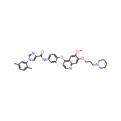 COc1cc2c(Oc3ccc(NC(=O)c4cn(-c5cc(C)ccc5C)cn4)cc3F)ccnc2cc1OCCCN1CCCCC1 ZINC001772631187