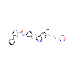 COc1cc2c(Oc3ccc(NC(=O)c4nccc(-c5ccccc5)n4)cc3F)ccnc2cc1OCCCN1CCOCC1 ZINC000096285103