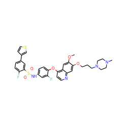 COc1cc2c(Oc3ccc(NS(=O)(=O)c4cc(-c5ccsc5)ccc4F)cc3F)ccnc2cc1OCCCN1CCN(C)CC1 ZINC000169345206