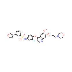 COc1cc2c(Oc3ccc(NS(=O)(=O)c4cccc(-c5ccoc5)c4)cc3F)ccnc2cc1OCCCN1CCOCC1 ZINC000169344649