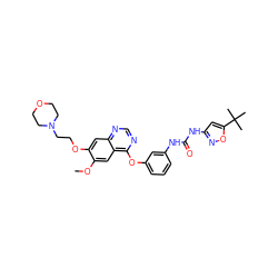 COc1cc2c(Oc3cccc(NC(=O)Nc4cc(C(C)(C)C)on4)c3)ncnc2cc1OCCN1CCOCC1 ZINC000072179942