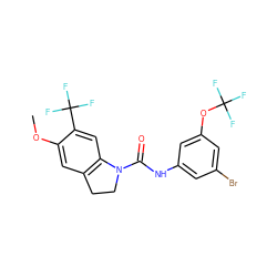 COc1cc2c(cc1C(F)(F)F)N(C(=O)Nc1cc(Br)cc(OC(F)(F)F)c1)CC2 ZINC000095557718