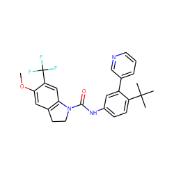 COc1cc2c(cc1C(F)(F)F)N(C(=O)Nc1ccc(C(C)(C)C)c(-c3cccnc3)c1)CC2 ZINC000013806157