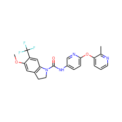 COc1cc2c(cc1C(F)(F)F)N(C(=O)Nc1ccc(Oc3cccnc3C)nc1)CC2 ZINC000013806178