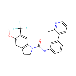 COc1cc2c(cc1C(F)(F)F)N(C(=O)Nc1cccc(-c3cccnc3C)c1)CC2 ZINC000013806136