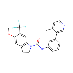 COc1cc2c(cc1C(F)(F)F)N(C(=O)Nc1cccc(-c3cnccc3C)c1)CC2 ZINC000013806133