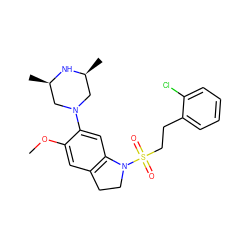 COc1cc2c(cc1N1C[C@H](C)N[C@H](C)C1)N(S(=O)(=O)CCc1ccccc1Cl)CC2 ZINC000028960721