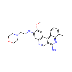 COc1cc2c(cc1NCCN1CCOCC1)ncc1c(N)nc3c(C)cccc3c12 ZINC000028825062