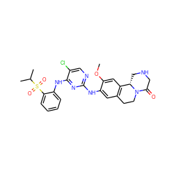 COc1cc2c(cc1Nc1ncc(Cl)c(Nc3ccccc3S(=O)(=O)C(C)C)n1)CCN1C(=O)CNC[C@@H]21 ZINC001772637115