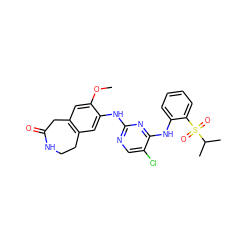 COc1cc2c(cc1Nc1ncc(Cl)c(Nc3ccccc3S(=O)(=O)C(C)C)n1)CCNC(=O)C2 ZINC000473135348