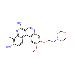 COc1cc2c(cc1OCCN1CCOCC1)ncc1c(N)nc3c(C)c(N)ccc3c12 ZINC000014969851