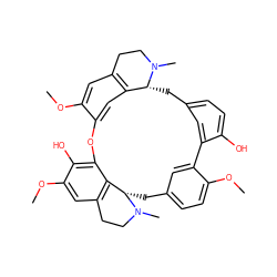 COc1cc2c3cc1Oc1c(O)c(OC)cc4c1[C@H](Cc1ccc(OC)c(c1)-c1cc(ccc1O)C[C@H]3N(C)CC2)N(C)CC4 ZINC000042835355