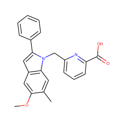 COc1cc2cc(-c3ccccc3)n(Cc3cccc(C(=O)O)n3)c2cc1C ZINC000169701316