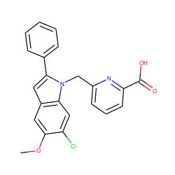 COc1cc2cc(-c3ccccc3)n(Cc3cccc(C(=O)O)n3)c2cc1Cl ZINC000169701313