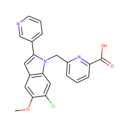 COc1cc2cc(-c3cccnc3)n(Cc3cccc(C(=O)O)n3)c2cc1Cl ZINC000169701332